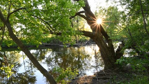 Photo of creek at sunset