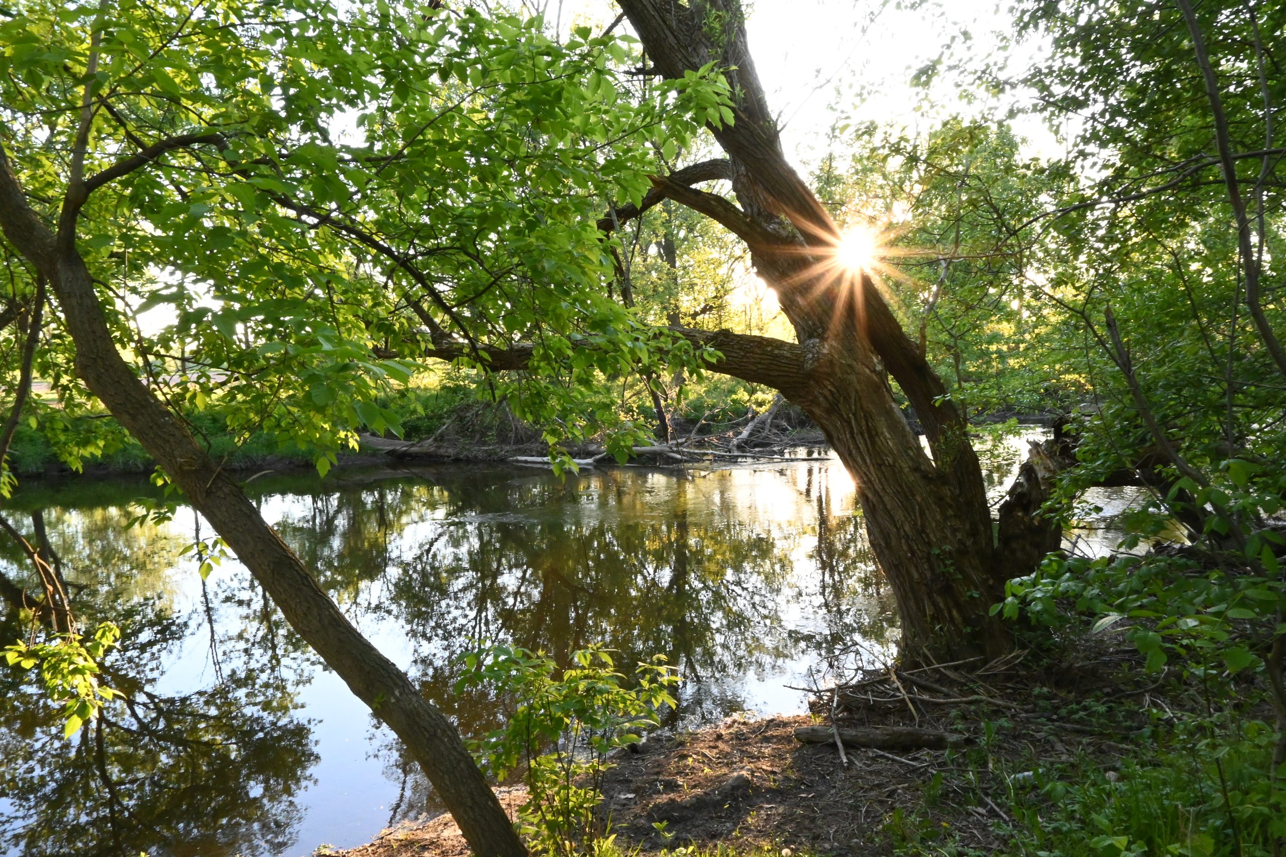 Photo of creek at sunset
